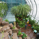 The butterfly garden.